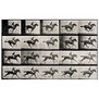 Photography: Two Centuries of History & Images